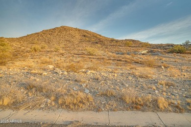 Exclusive Custom Homesite in Verrado's Prestigious custom home - photo 46