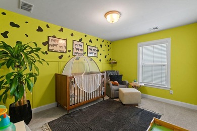 Welcome to 109 Riley Farms Court, an impeccably upgraded - photo 46