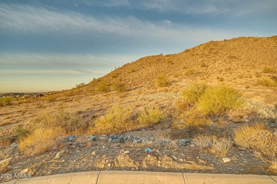 Exclusive Custom Homesite in Verrado's Prestigious custom home - photo 47