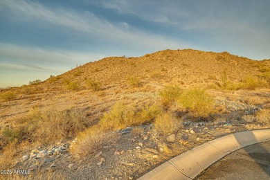 Exclusive Custom Homesite in Verrado's Prestigious custom home - photo 48