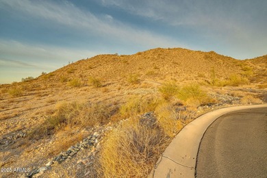 Exclusive Custom Homesite in Verrado's Prestigious custom home - photo 50
