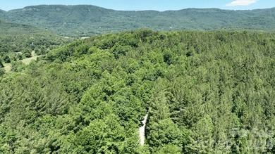 Perfectly set on nearly 350 acres of prime mountain land - photo 6