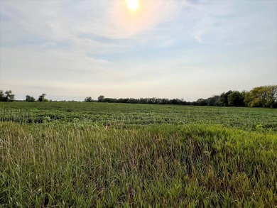 This beautiful 10 acre, open builder lot feature nice mix of - photo 1