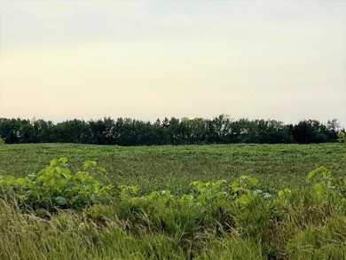 This beautiful 10 acre, open builder lot feature nice mix of - photo 2