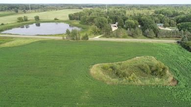 This beautiful 10 acre, open builder lot feature nice mix of - photo 3