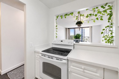 3660 N LAKE SHORE Dr 909 - photo 4