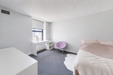 3660 N LAKE SHORE Dr 909 - photo 9