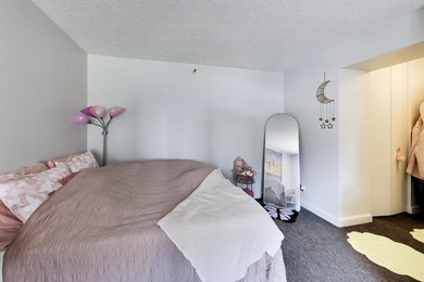 3660 N LAKE SHORE Dr 909 - photo 10