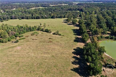 Discover a rare opportunity with this beautiful tract of land - photo 12