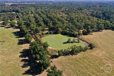 Discover a rare opportunity with this beautiful tract of land - photo 13