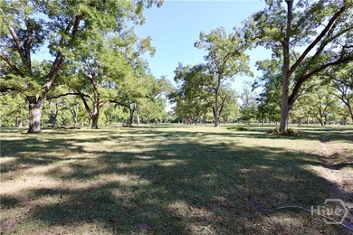 Discover a rare opportunity with this beautiful tract of land - photo 15