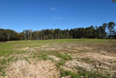 Lake Murray Lot For Sale in Prosperity South Carolina