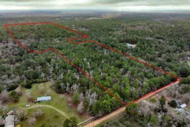 (private lake, pond, creek) Acreage For Sale in Crockett Texas