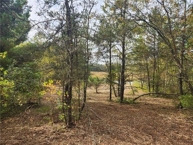 Lake Acreage For Sale in Chetek, Wisconsin