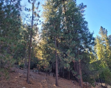 Lake Lot For Sale in Lake Arrowhead, California