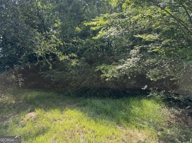 Lot at the end of Milton Avenue - photo 1