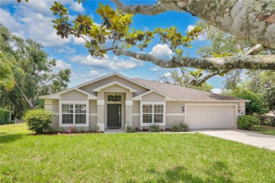 Lake Minnehaha Home Sale Pending in Clermont Florida
