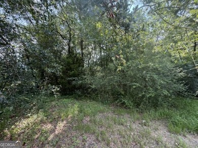 Lot at the end of Milton Avenue - photo 2