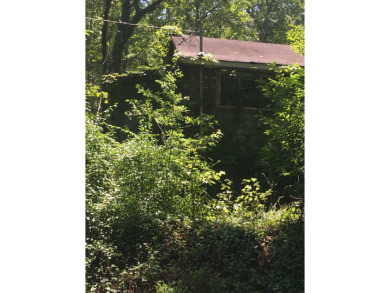 Lake Home For Sale in Hixson, Tennessee