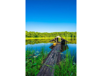 (private lake, pond, creek) Acreage For Sale in Douglassville Texas