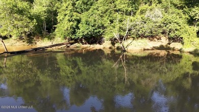 Booger Bottom Plantation - A True Year-Round Sportsman's - photo 27