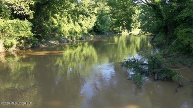 Booger Bottom Plantation - A True Year-Round Sportsman's - photo 29