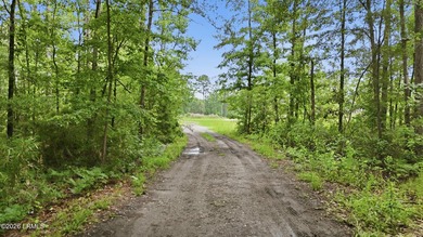 (private lake, pond, coastal) Acreage For Sale in Ridgeland South Carolina
