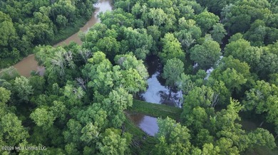 Booger Bottom Plantation - A True Year-Round Sportsman's - photo 31