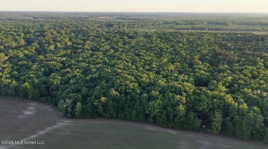 Booger Bottom Plantation - A True Year-Round Sportsman's - photo 33