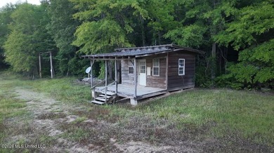 Booger Bottom Plantation - A True Year-Round Sportsman's - photo 34