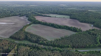 Booger Bottom Plantation - A True Year-Round Sportsman's - photo 35