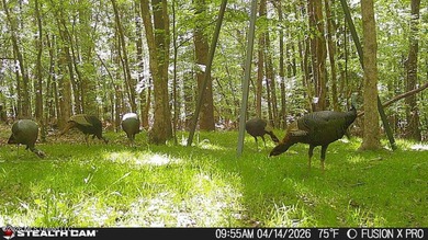Booger Bottom Plantation - A True Year-Round Sportsman's - photo 38