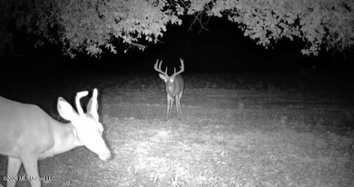 Booger Bottom Plantation - A True Year-Round Sportsman's - photo 39