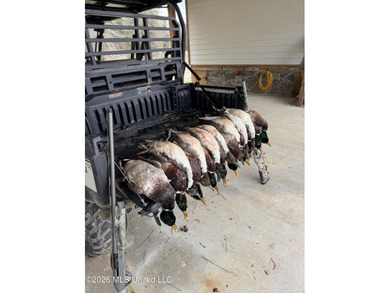 Booger Bottom Plantation - A True Year-Round Sportsman's - photo 42