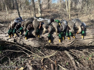 Booger Bottom Plantation - A True Year-Round Sportsman's - photo 44
