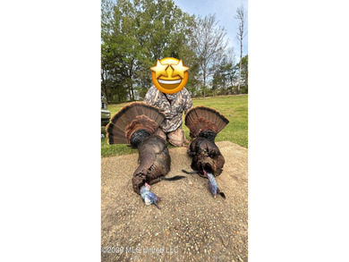 Booger Bottom Plantation - A True Year-Round Sportsman's - photo 45