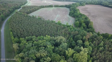 Booger Bottom Plantation - A True Year-Round Sportsman's - photo 46