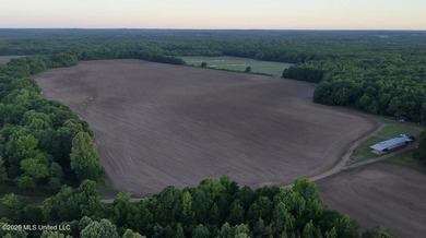Booger Bottom Plantation - A True Year-Round Sportsman's - photo 47