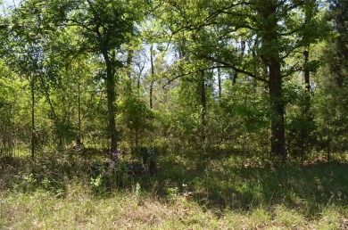 Lake Lot For Sale in Log Cabin, Texas