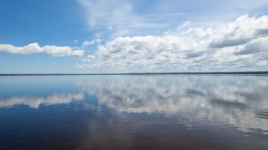 Adorable Lakefront Cottage On Beautiful Black Lake - photo 2