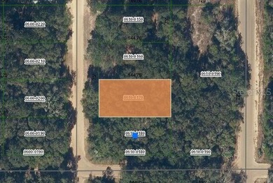 Lake Grandin Lot For Sale in Interlachen Florida