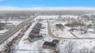 Fully developed site condominium in a great area with the - photo 7