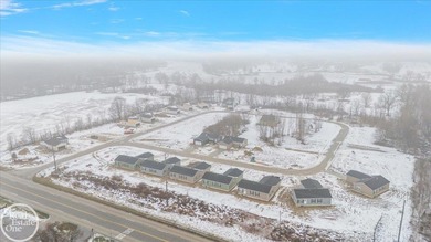 Fully developed site condominium in a great area with the - photo 10
