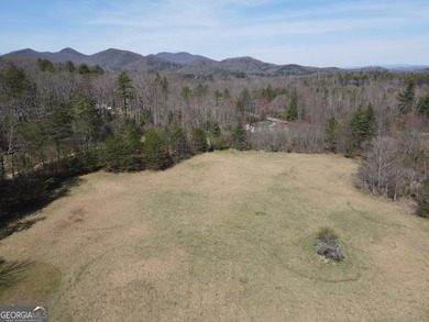 MINI FARM AND MORE... You might find a house that has a few more - photo 5