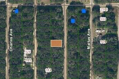 Lake Grandin Lot For Sale in Interlachen Florida