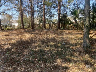 PENSACOLA, FL - 0.24+/ Lot Near Bayou Grande | Owner Financing - photo 5