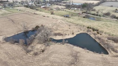 What a location!! 47 acres more or less with 2 private ponds - photo 3