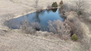 What a location!! 47 acres more or less with 2 private ponds - photo 4