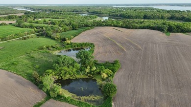 What a location!! 47 acres more or less with 2 private ponds - photo 7