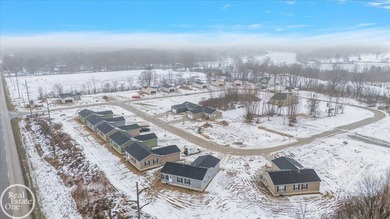 Fully developed site condominium in a great area with the - photo 9